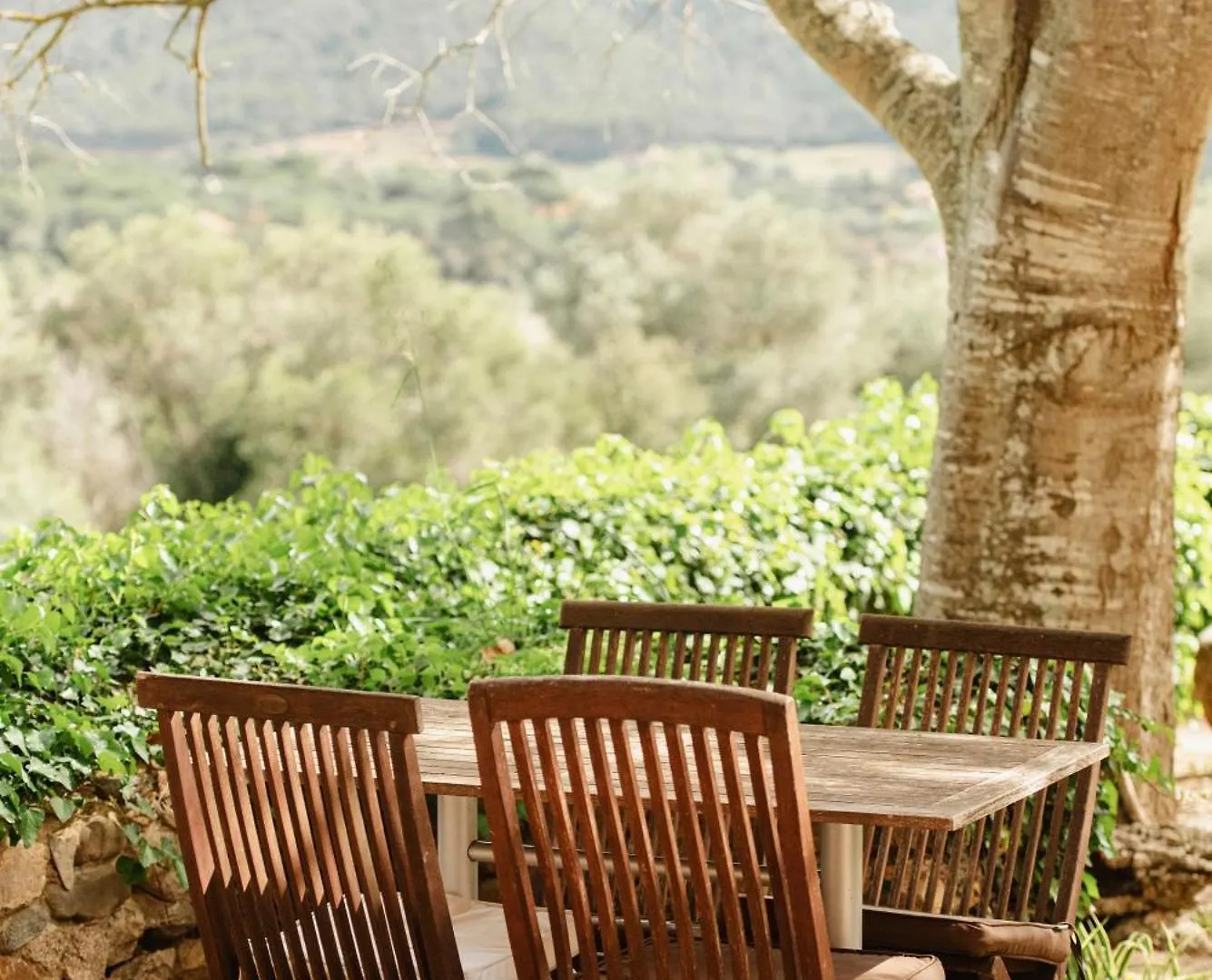Can Margarit Calonge  Country house Calonge (Catalonia)